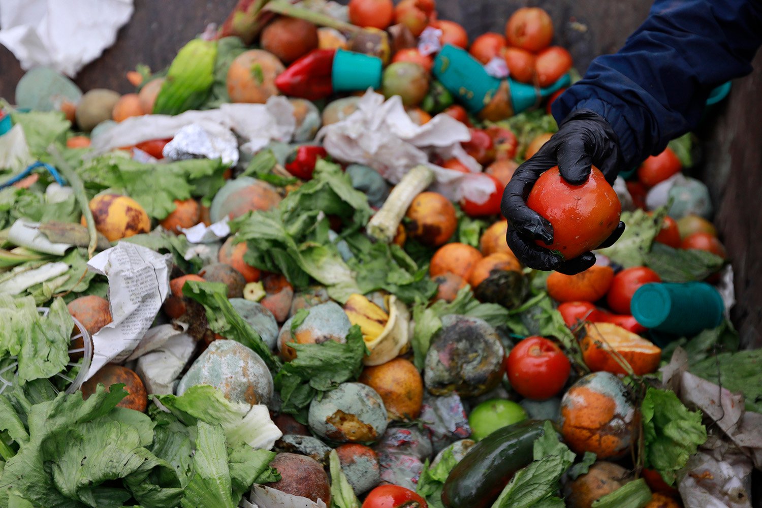 Addressing the Impacts of Food Loss and Waste – FP Analytics